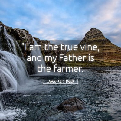 Picture 05 - John 15:1 WEB - 
