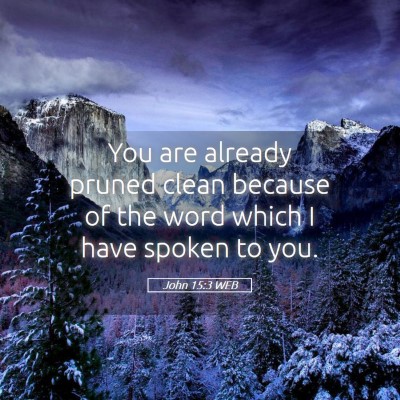 Picture 05 - John 15:3 WEB - You are already pruned clean because of the word - Bible Verse Picture