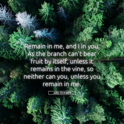 Picture 05 - John 15:4 WEB - Remain in me, and I in you. As the branch can't - Bible Verse Picture