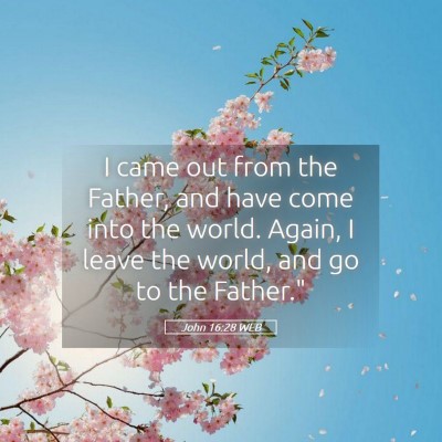 Picture 05 - John 16:28 WEB - I came out from the Father, and have come into - Bible Verse Picture