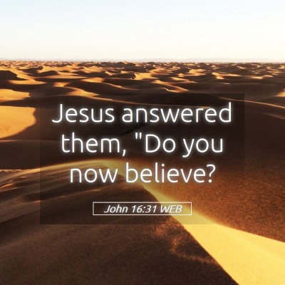 Picture 05 - John 16:31 WEB - Jesus answered them, 