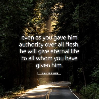Picture 05 - John 17:2 WEB - even as you gave him authority over all flesh, he - Bible Verse Picture