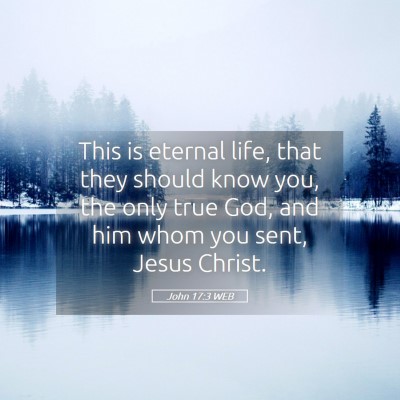 Picture 05 - John 17:3 WEB - This is eternal life, that they should know you, - Bible Verse Picture