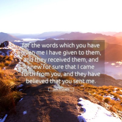 Picture 05 - John 17:8 WEB - for the words which you have given me I have - Bible Verse Picture