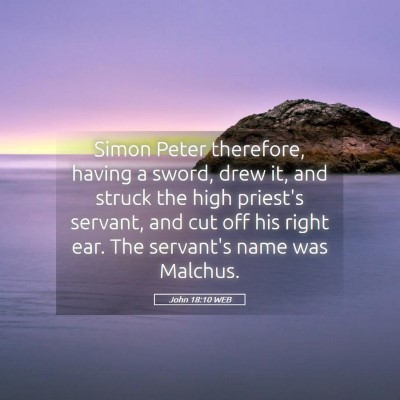Picture 05 - John 18:10 WEB - Simon Peter therefore, having a sword, drew it, - Bible Verse Picture