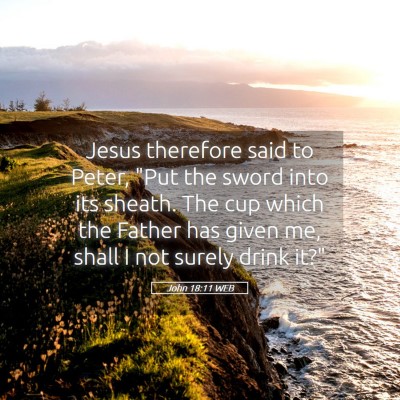 Picture 05 - John 18:11 WEB - Jesus therefore said to Peter, 