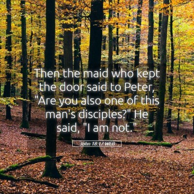 Picture 05 - John 18:17 WEB - Then the maid who kept the door said to Peter, - Bible Verse Picture
