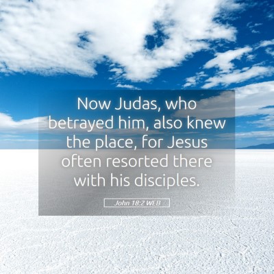 Picture 05 - John 18:2 WEB - Now Judas, who betrayed him, also knew the place, - Bible Verse Picture