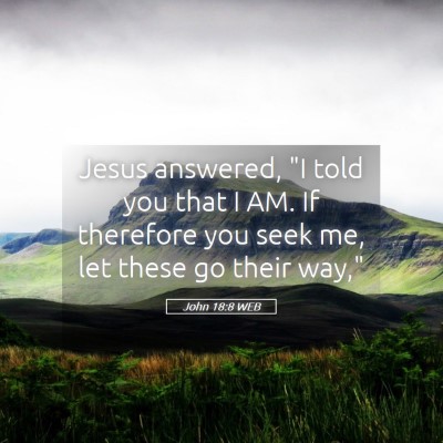 Picture 05 - John 18:8 WEB - Jesus answered, 