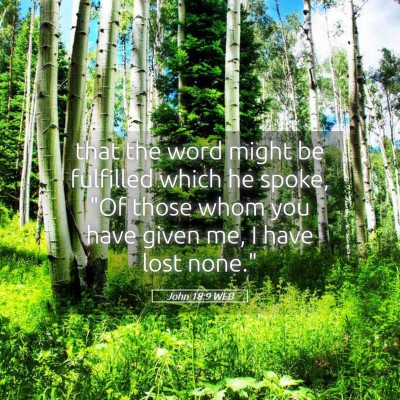 Picture 05 - John 18:9 WEB - that the word might be fulfilled which he spoke, - Bible Verse Picture
