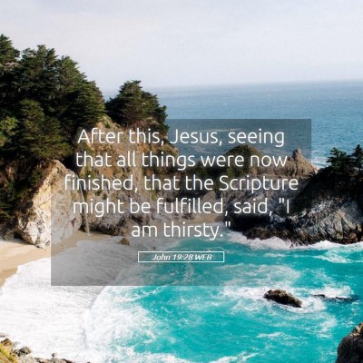 Picture 05 - John 19:28 WEB - After this, Jesus, seeing that all things were - Bible Verse Picture