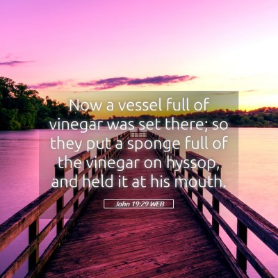 Picture 05 - John 19:29 WEB - Now a vessel full of vinegar was set there; so - Bible Verse Picture