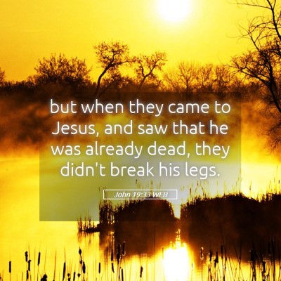 Picture 05 - John 19:33 WEB - but when they came to Jesus, and saw that he was - Bible Verse Picture