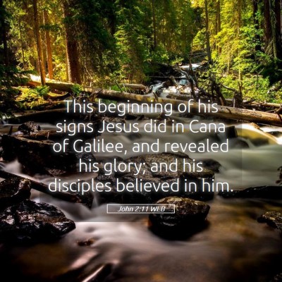 Picture 05 - John 2:11 WEB - This beginning of his signs Jesus did in Cana of - Bible Verse Picture