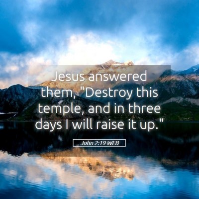 Picture 05 - John 2:19 WEB - Jesus answered them, 