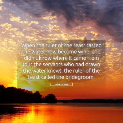 Picture 05 - John 2:9 WEB - When the ruler of the feast tasted the water now - Bible Verse Picture