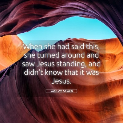 Picture 05 - John 20:14 WEB - When she had said this, she turned around and saw - Bible Verse Picture
