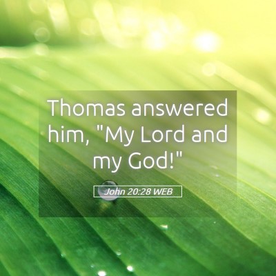 Picture 05 - John 20:28 WEB - Thomas answered him, 