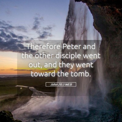Picture 05 - John 20:3 WEB - Therefore Peter and the other disciple went out, - Bible Verse Picture
