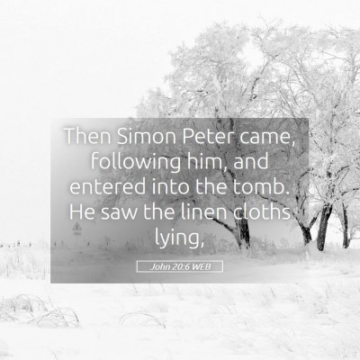 Picture 05 - John 20:6 WEB - Then Simon Peter came, following him, and entered - Bible Verse Picture