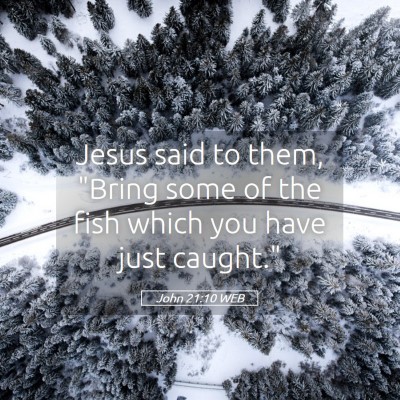 Picture 05 - John 21:10 WEB - Jesus said to them, 
