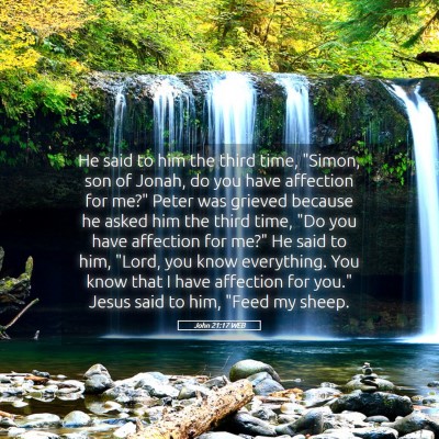 Picture 05 - John 21:17 WEB - He said to him the third time, 