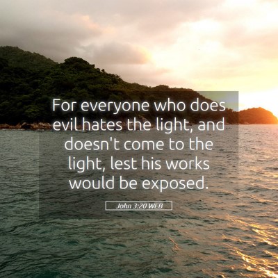 Picture 05 - John 3:20 WEB - For everyone who does evil hates the light, and - Bible Verse Picture