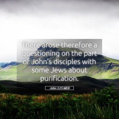 Picture 05 - John 3:25 WEB - There arose therefore a questioning on the part - Bible Verse Picture
