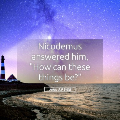 Picture 05 - John 3:9 WEB - Nicodemus answered him, 