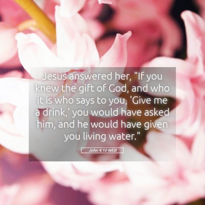 Picture 05 - John 4:10 WEB - Jesus answered her, 