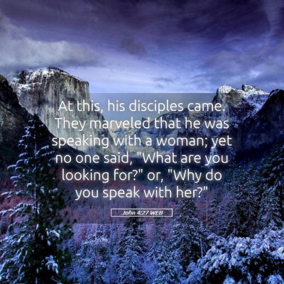 Picture 05 - John 4:27 WEB - At this, his disciples came. They marveled that - Bible Verse Picture