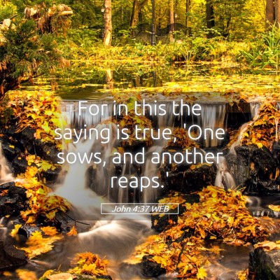 Picture 05 - John 4:37 WEB - For in this the saying is true, 'One sows, and - Bible Verse Picture