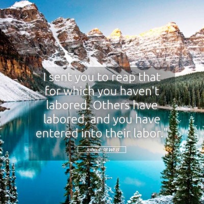 Picture 05 - John 4:38 WEB - I sent you to reap that for which you haven't - Bible Verse Picture