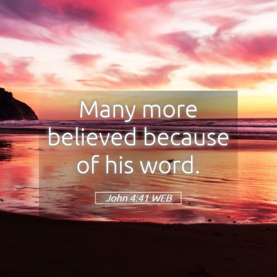 Picture 05 - John 4:41 WEB - Many more believed because of his - Bible Verse Picture