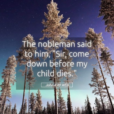 Picture 05 - John 4:49 WEB - The nobleman said to him, 