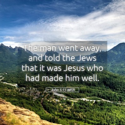 Picture 05 - John 5:15 WEB - The man went away, and told the Jews that it was - Bible Verse Picture