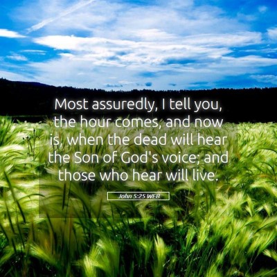 Picture 05 - John 5:25 WEB - Most assuredly, I tell you, the hour comes, and - Bible Verse Picture