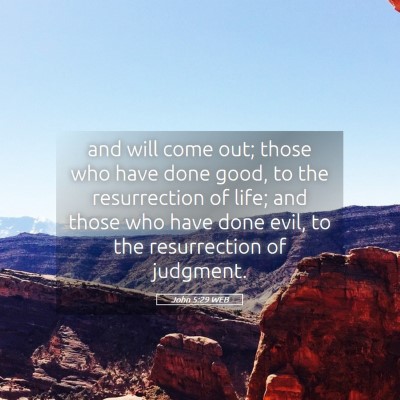 Picture 05 - John 5:29 WEB - and will come out; those who have done good, to - Bible Verse Picture