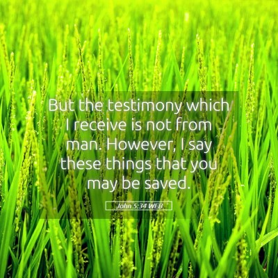 Picture 05 - John 5:34 WEB - But the testimony which I receive is not from - Bible Verse Picture