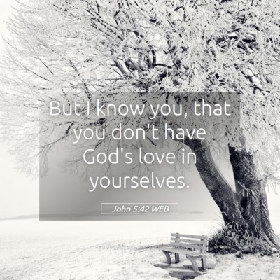 Picture 05 - John 5:42 WEB - But I know you, that you don't have God's love in - Bible Verse Picture
