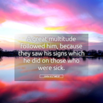 Picture 05 - John 6:2 WEB - A great multitude followed him, because they saw - Bible Verse Picture