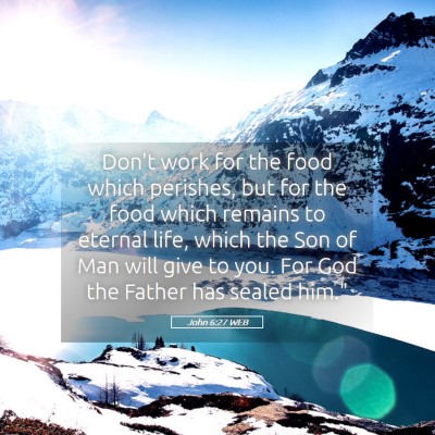 Picture 05 - John 6:27 WEB - Don't work for the food which perishes, but for - Bible Verse Picture