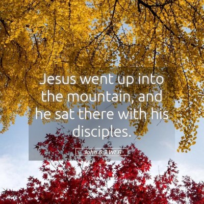 Picture 05 - John 6:3 WEB - Jesus went up into the mountain, and he sat there - Bible Verse Picture
