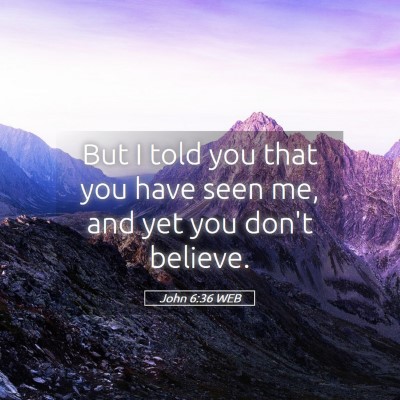 Picture 05 - John 6:36 WEB - But I told you that you have seen me, and yet you - Bible Verse Picture