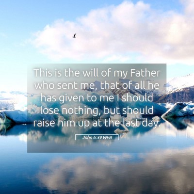 Picture 05 - John 6:39 WEB - This is the will of my Father who sent me, that - Bible Verse Picture