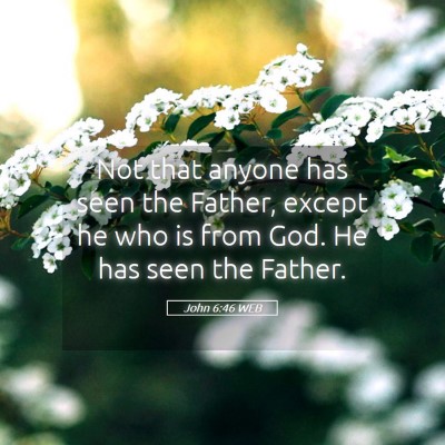Picture 05 - John 6:46 WEB - Not that anyone has seen the Father, except he - Bible Verse Picture