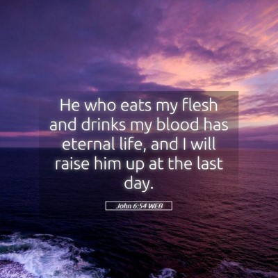 Picture 05 - John 6:54 WEB - He who eats my flesh and drinks my blood has - Bible Verse Picture