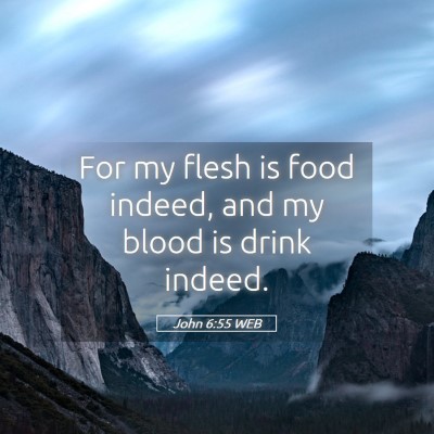 Picture 05 - John 6:55 WEB - For my flesh is food indeed, and my blood is - Bible Verse Picture