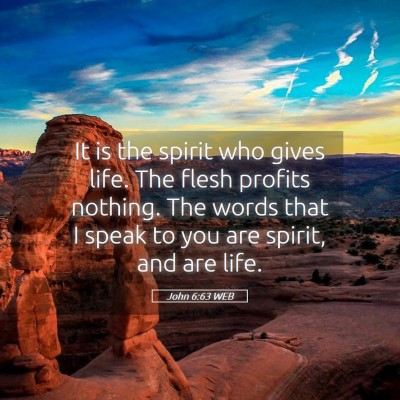 Picture 05 - John 6:63 WEB - It is the spirit who gives life. The flesh - Bible Verse Picture
