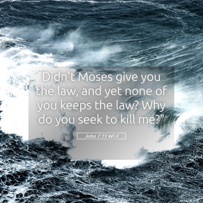 Picture 05 - John 7:19 WEB - Didn't Moses give you the law, and yet none of - Bible Verse Picture